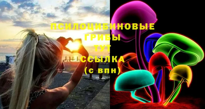 Галлюциногенные грибы Psilocybine cubensis  Ангарск 